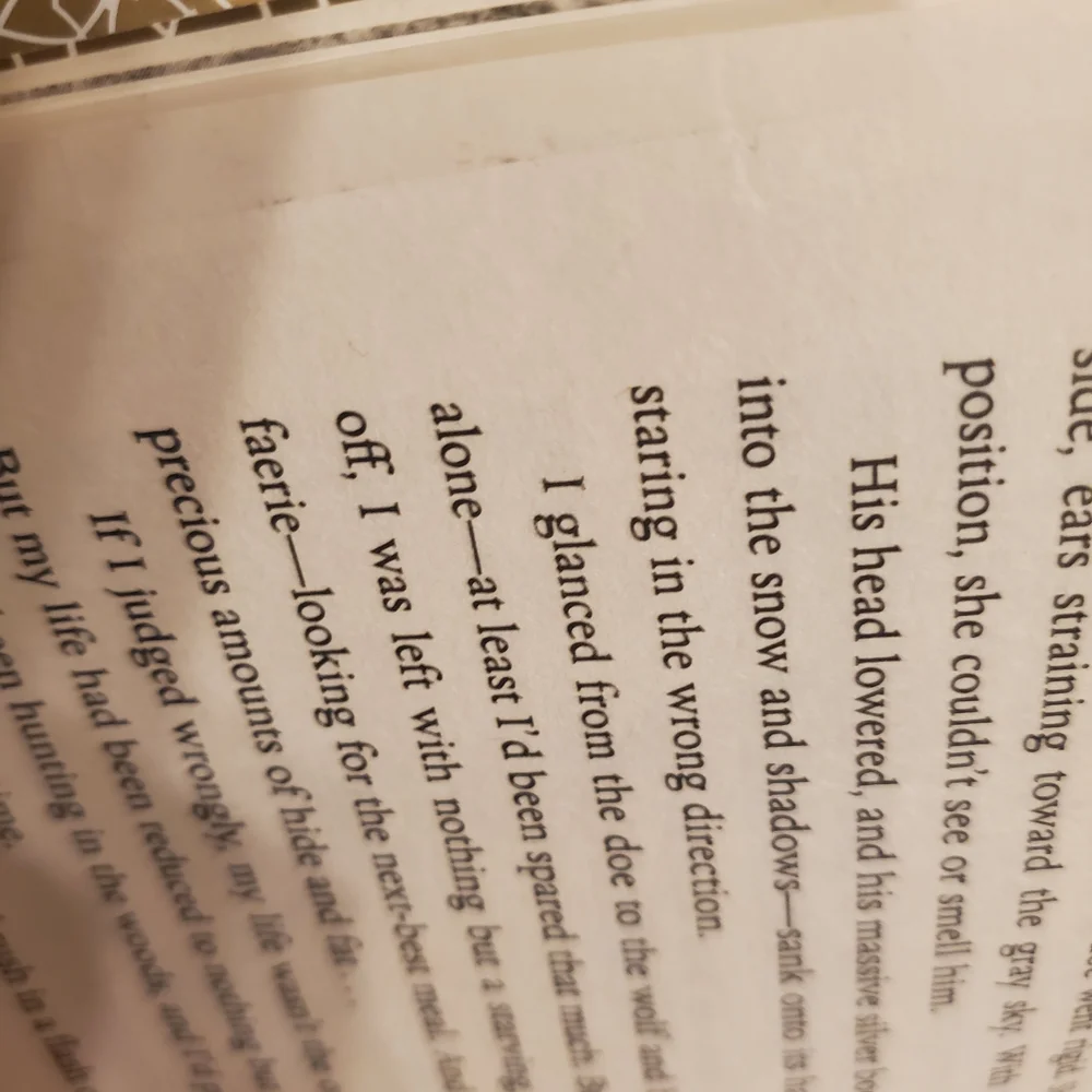 A Court of Thorns and Roses Collectors Edition - Picture 11 of 11